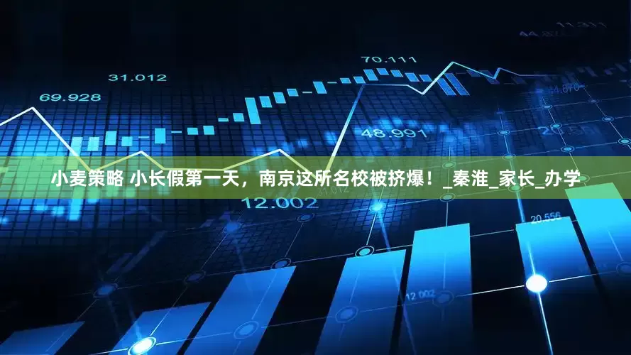 小麦策略 小长假第一天，南京这所名校被挤爆！_秦淮_家长_办学