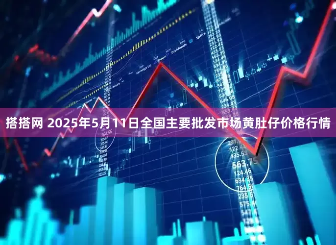 搭搭网 2025年5月11日全国主要批发市场黄肚仔价格行情