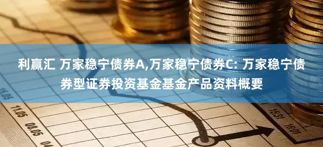 利赢汇 万家稳宁债券A,万家稳宁债券C: 万家稳宁债券型证券投资基金基金产品资料概要