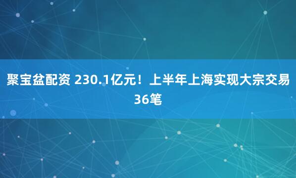 聚宝盆配资 230.1亿元！上半年上海实现大宗交易36笔