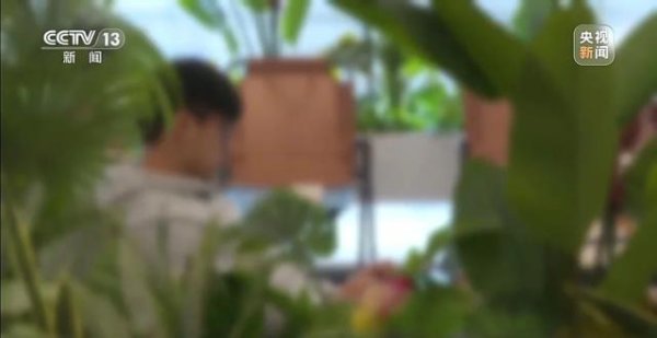 匠心智策 从缅甸电诈园区脱险回家，高中生胡一啸都经历了什么？
